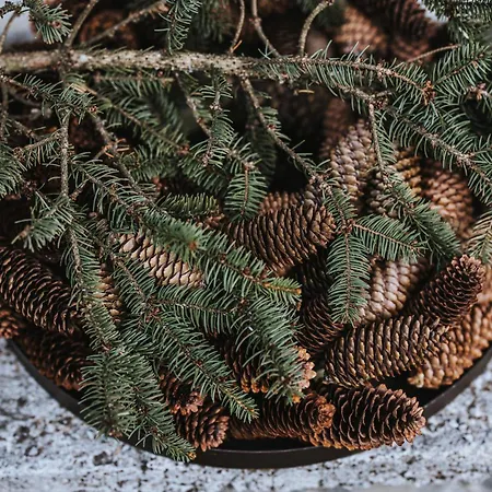 Quartier 313 度假居 *